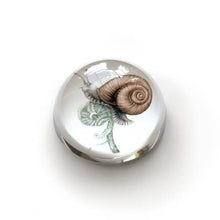 Charger l'image dans la galerie, Scarlette – Presse-papier en cristal | Charlotte Nicolin
