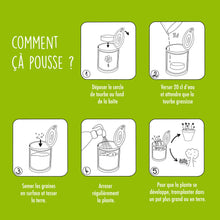 Charger l'image dans la galerie, Kit à semer « Noël Joyeux » – Fabriqué en France
