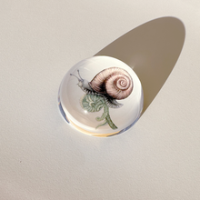 Charger l'image dans la galerie, Scarlette – Presse-papier en cristal | Charlotte Nicolin
